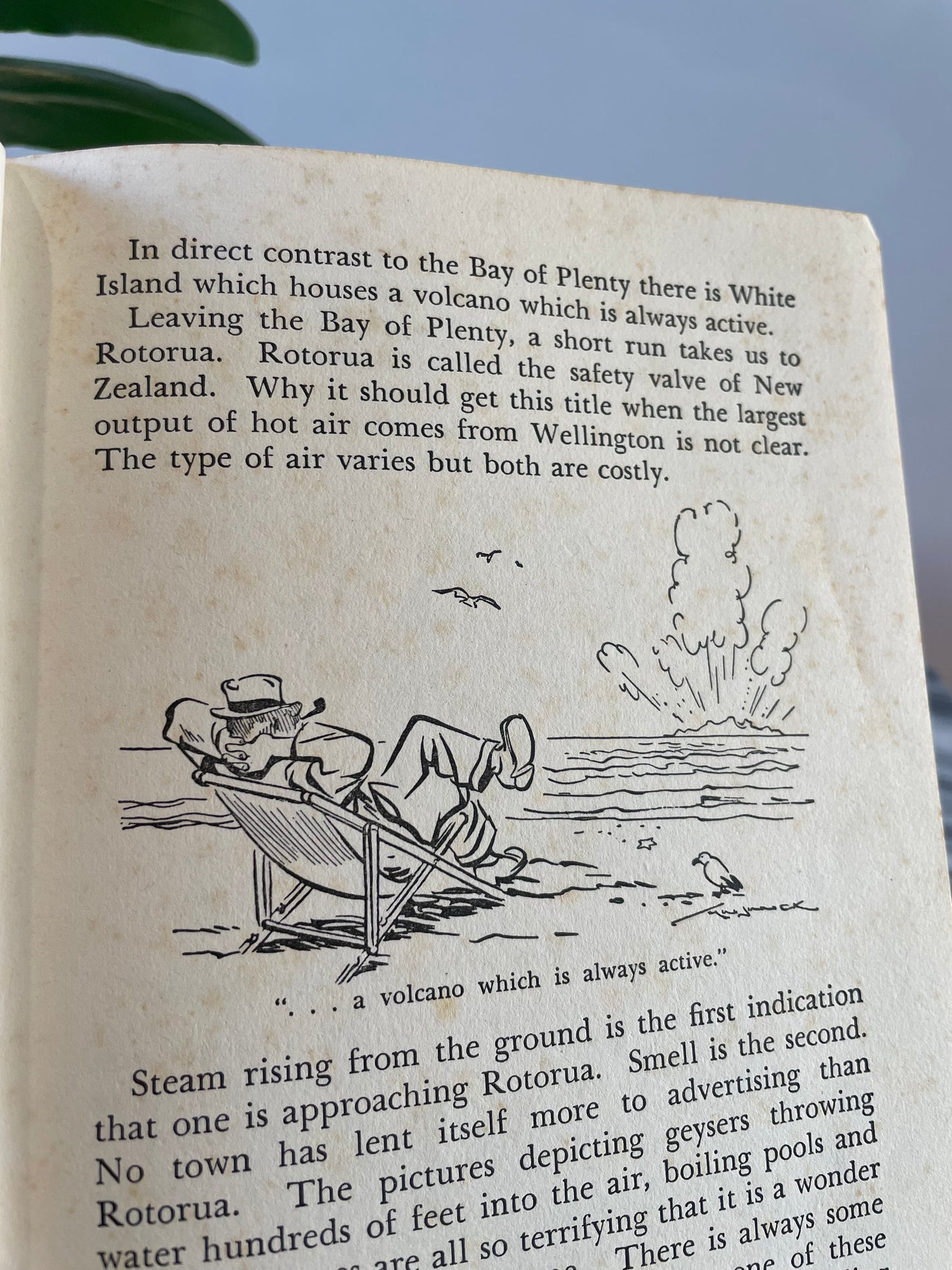 N to Z - Vintage 1953 New Zealand book - humorous gag gift for kiwi