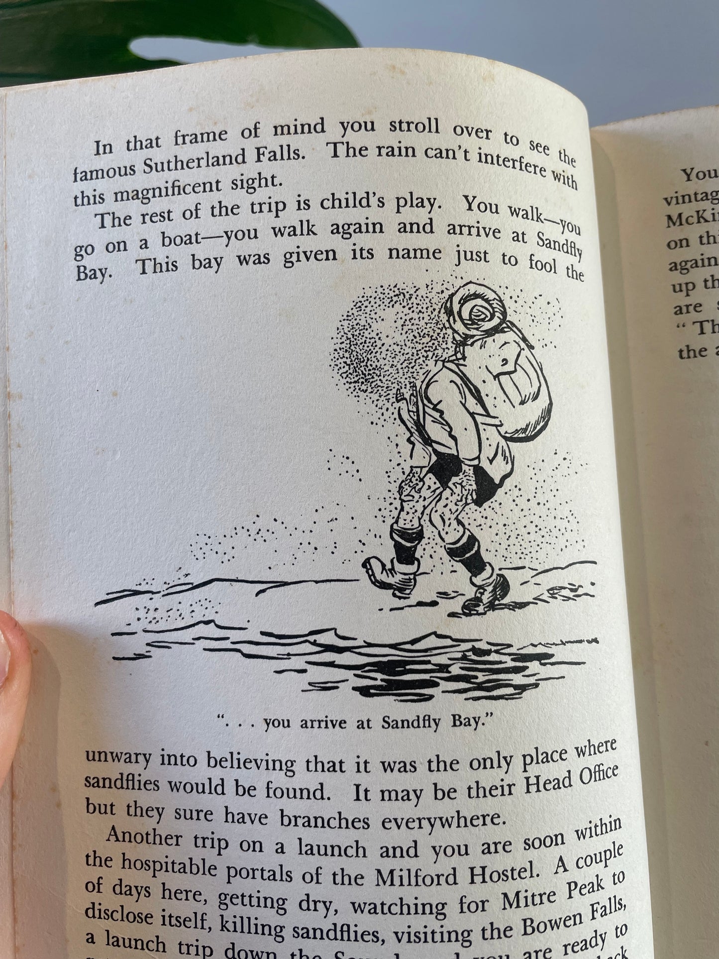 N to Z - Vintage 1953 New Zealand book - humorous gag gift for kiwi