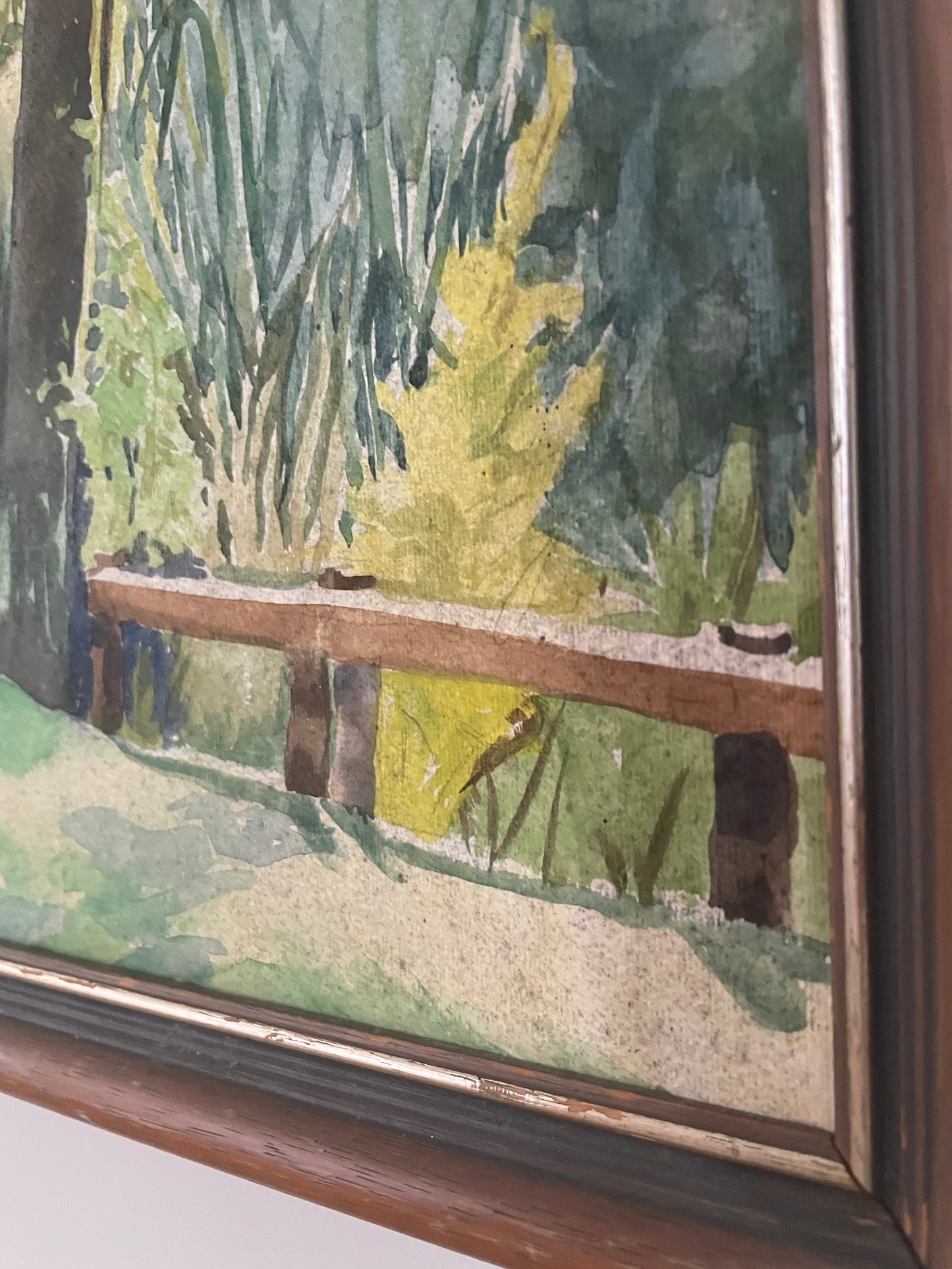 Signed watercolor painting of New Zealand Punga trees Otawa Bush