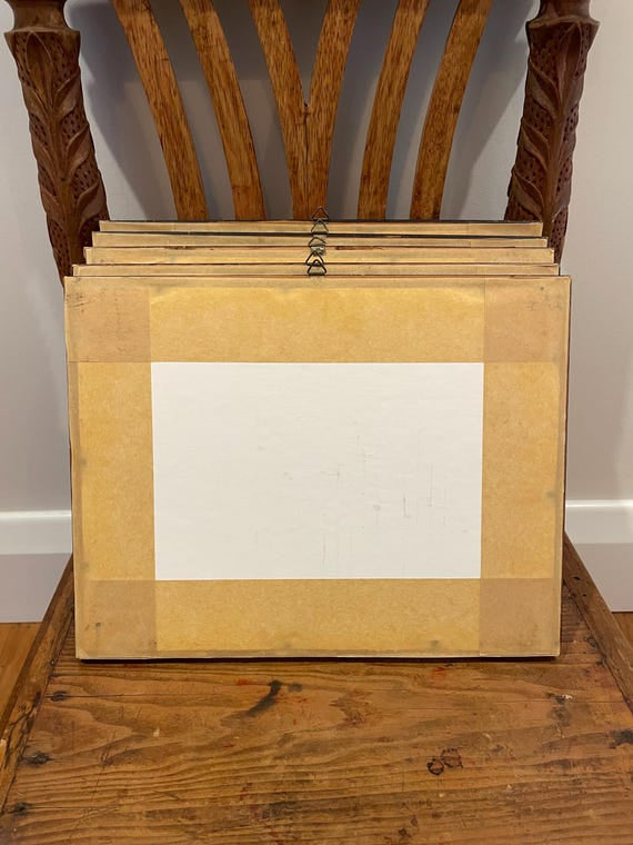 Rare set of 5 Australian paintings from 1874 - hand-coloured steel engravings by J S Prout - Australian Art series