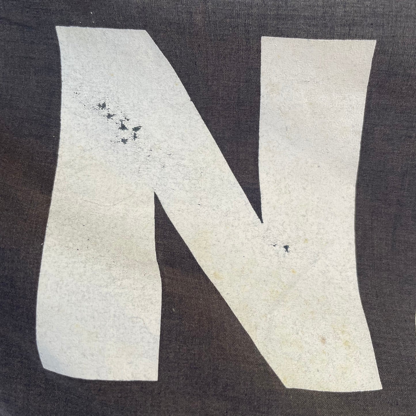 Rare vintage South Africa NATAL rugby team flag - Banana Boys Simply the Best