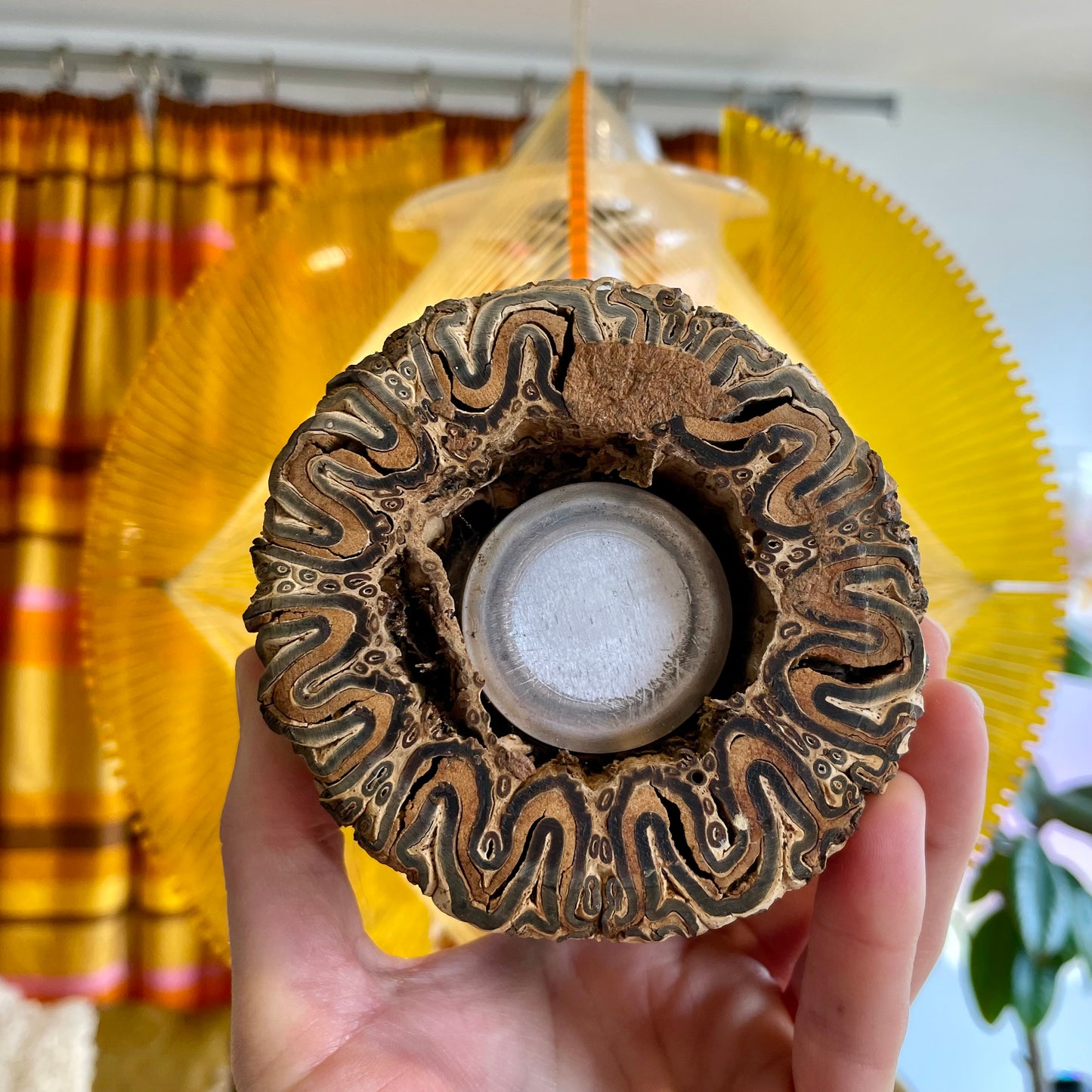 Vintage New Zealand Ponga tree fern tea light holder / vase