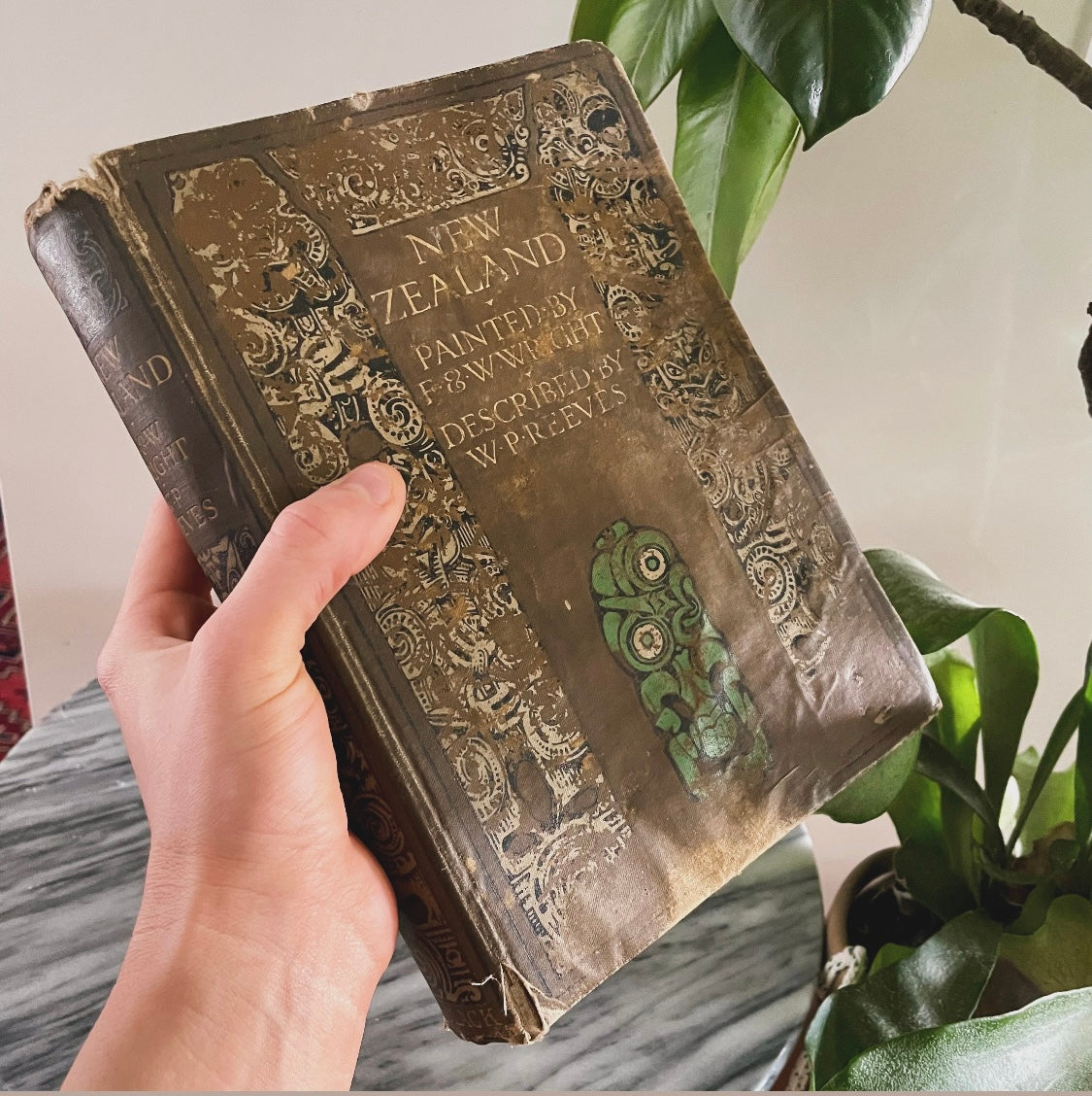1908 first edition New Zealand book; Painted by F. and W. Wright Described by William Pember Reeves - antique book