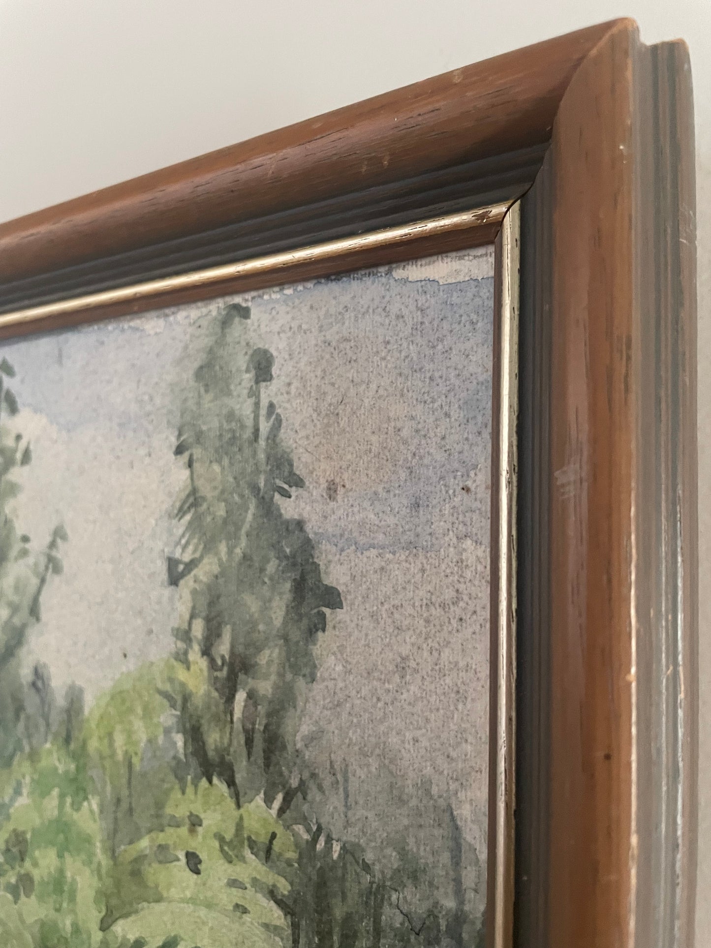 Signed watercolor painting of New Zealand Punga trees Otawa Bush