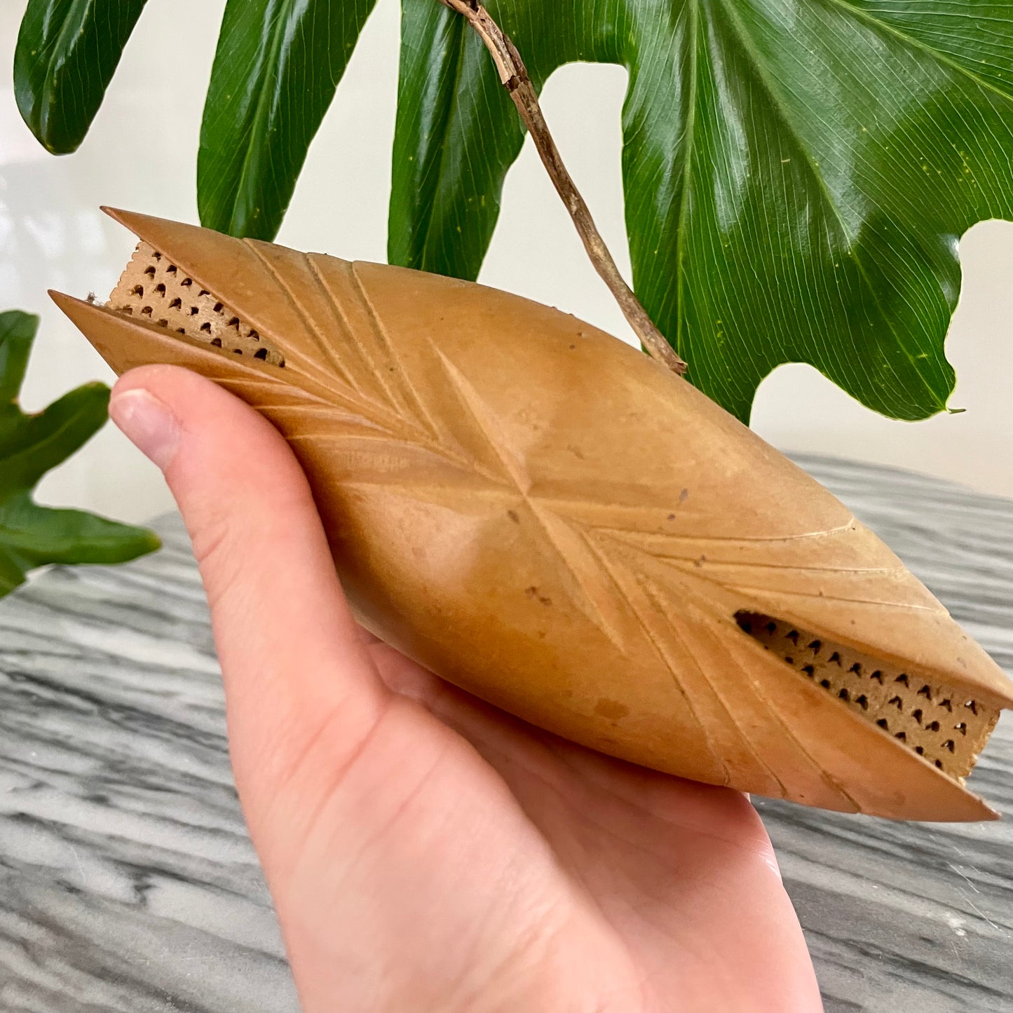 African folk art - Unusual carved wooden clam shell from Africa