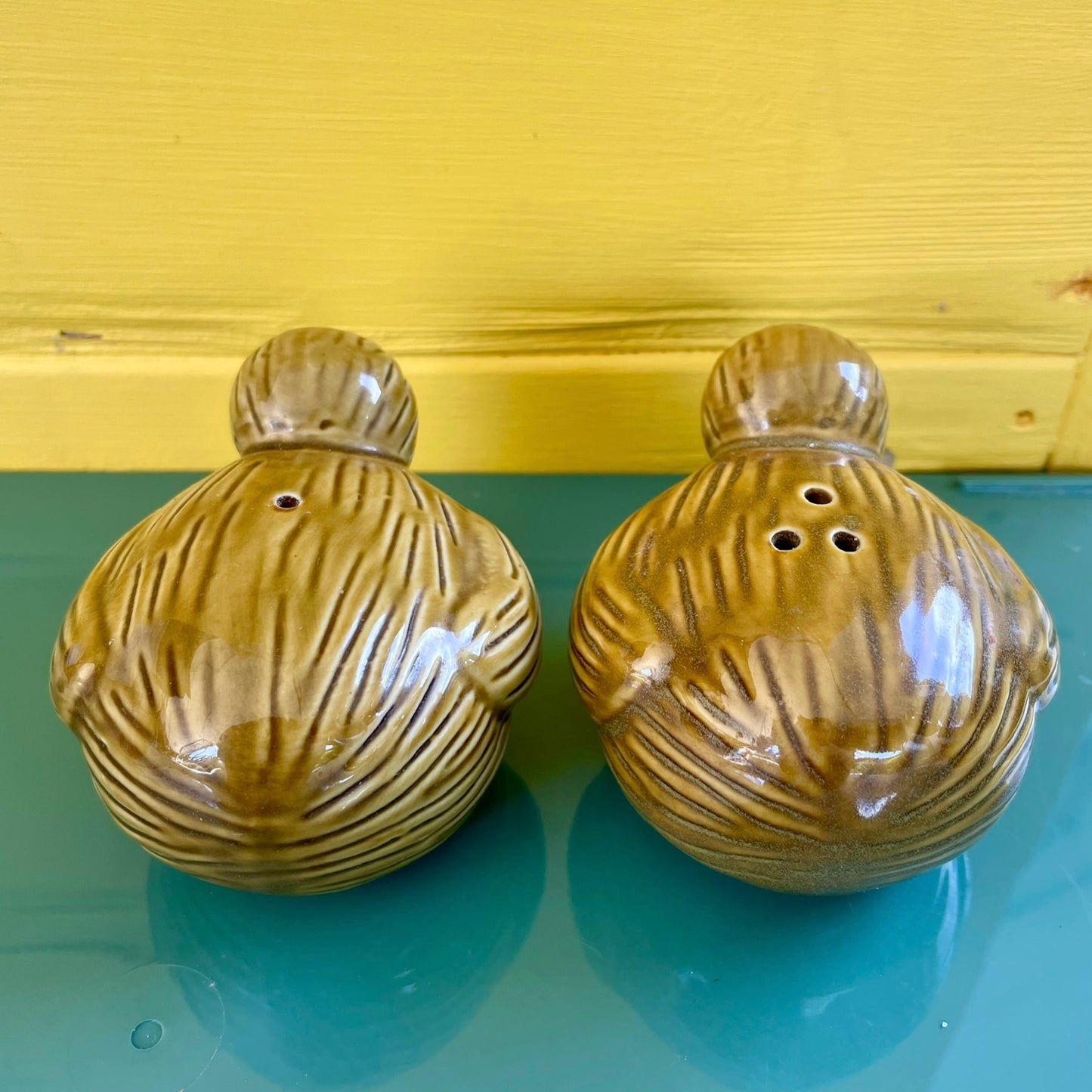 Cute little pair of New Zealand Kiwi sat and pepper shakers - vintage kitchy collectible salt and pepper shakers