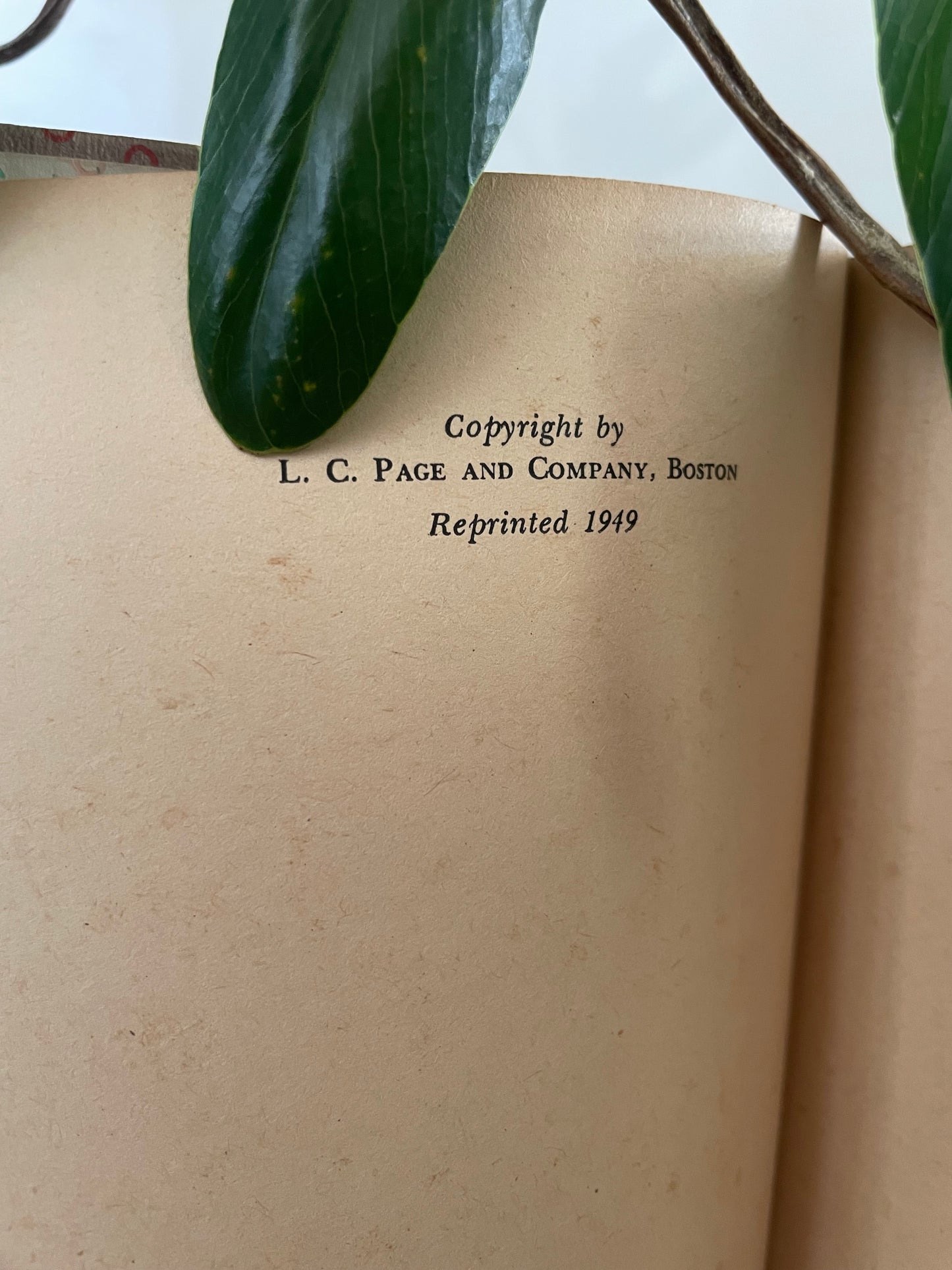 1949 vintage Anne of the Island book from New Zealand / London