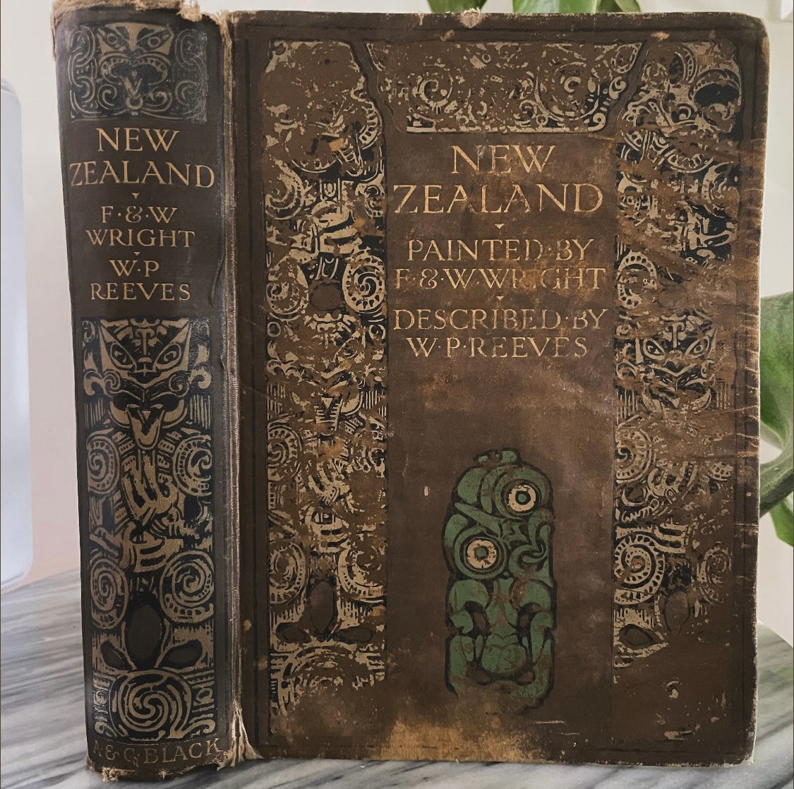 1908 first edition New Zealand book; Painted by F. and W. Wright Described by William Pember Reeves - antique book