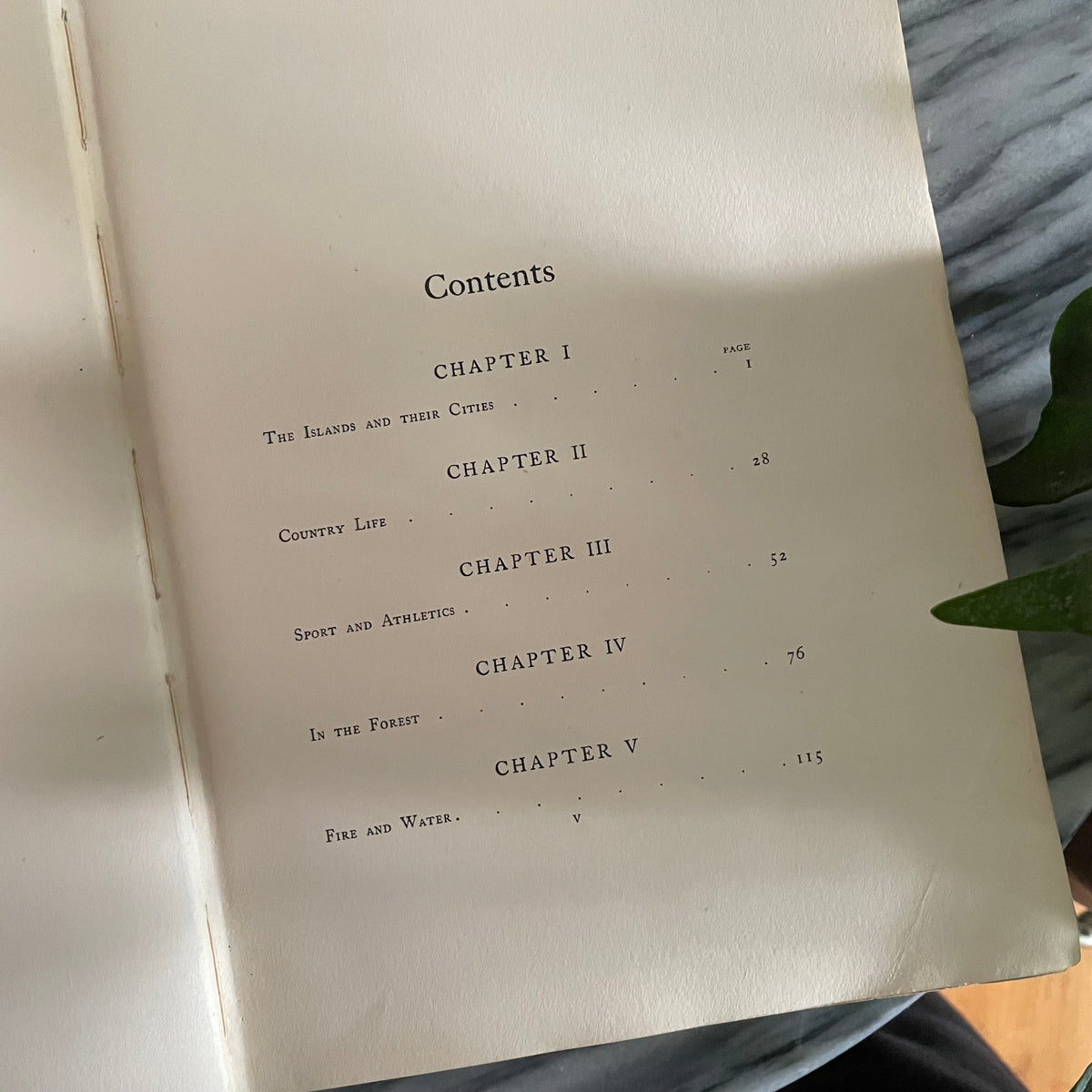 1908 first edition New Zealand book; Painted by F. and W. Wright Described by William Pember Reeves - antique book