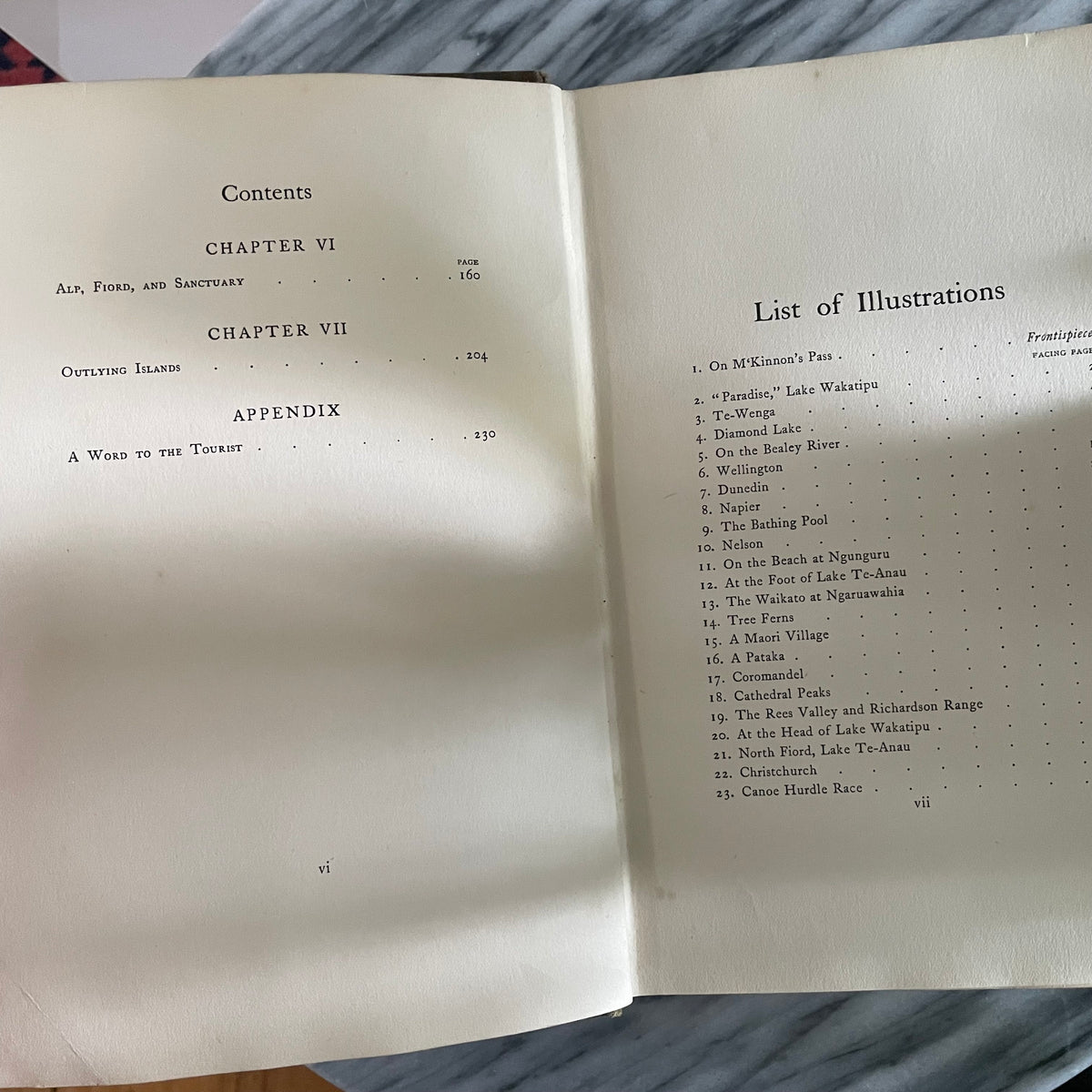 1908 first edition New Zealand book; Painted by F. and W. Wright Described by William Pember Reeves - antique book