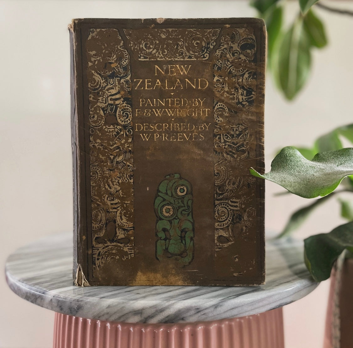 1908 first edition New Zealand book; Painted by F. and W. Wright Described by William Pember Reeves - antique book