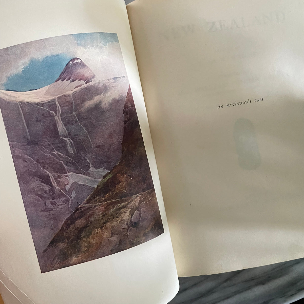 1908 first edition New Zealand book; Painted by F. and W. Wright Described by William Pember Reeves - antique book