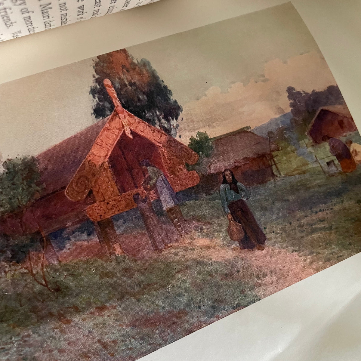 1908 first edition New Zealand book; Painted by F. and W. Wright Described by William Pember Reeves - antique book