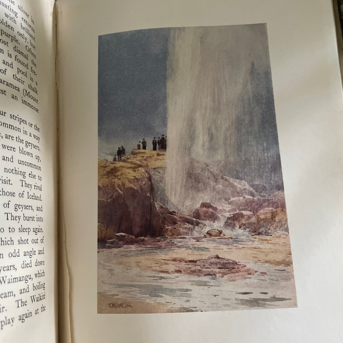 1908 first edition New Zealand book; Painted by F. and W. Wright Described by William Pember Reeves - antique book