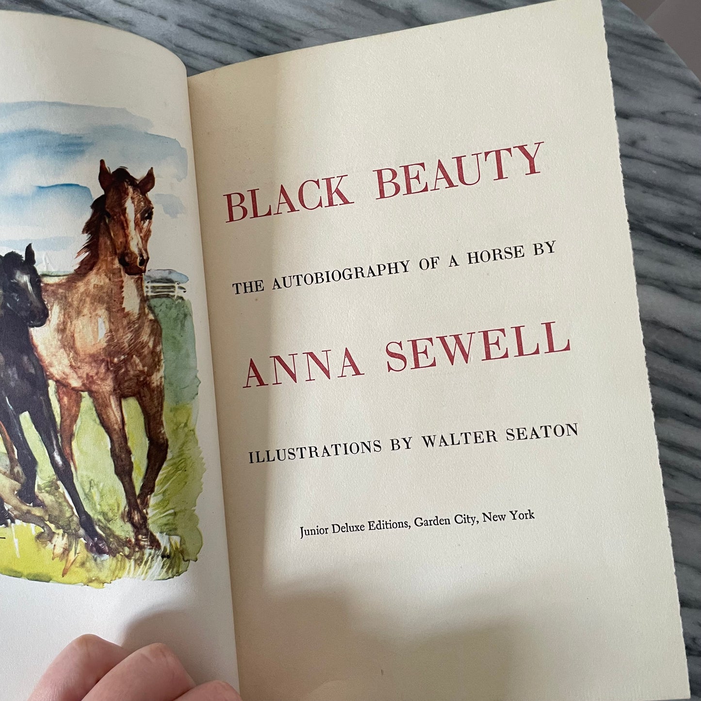 Vintage Black Beauty book from New Zealand