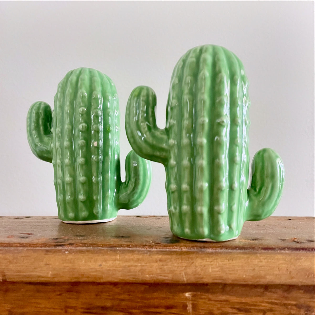 Kitschy Cactus - retro pair of ceramic saguaro cactus salt and pepper shakers