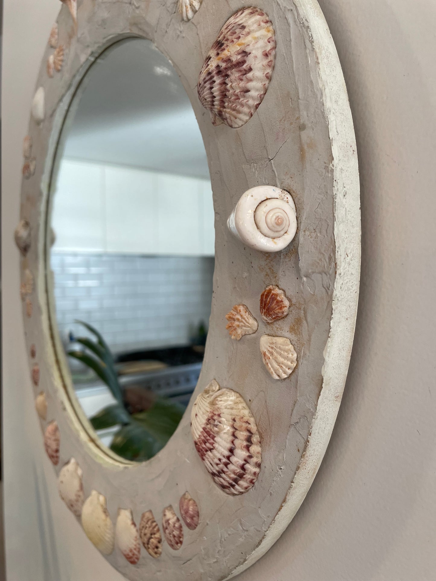 Shell Cottage - Round shell mirror with gray plaster