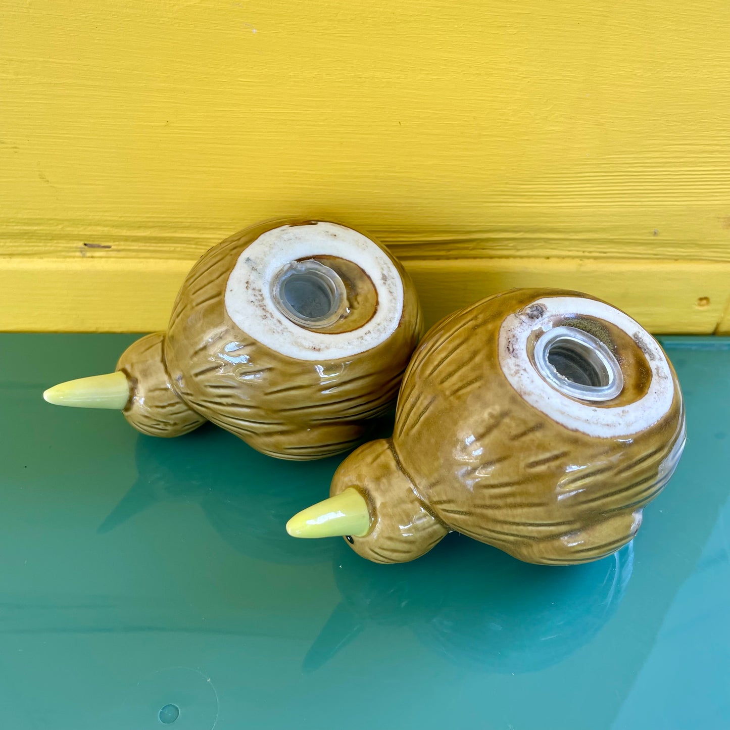 Cute little pair of New Zealand Kiwi sat and pepper shakers - vintage kitchy collectible salt and pepper shakers
