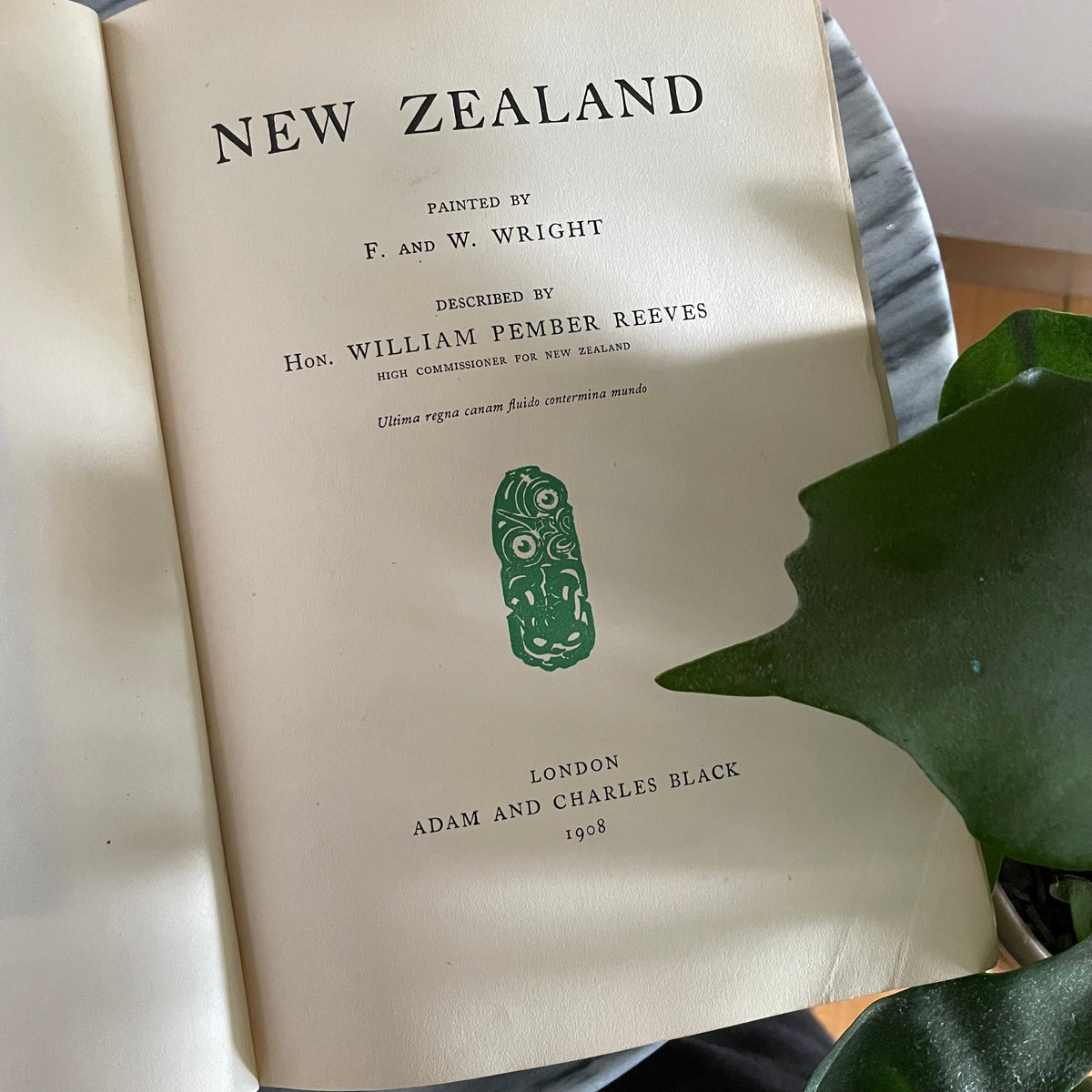 1908 first edition New Zealand book; Painted by F. and W. Wright Described by William Pember Reeves - antique book