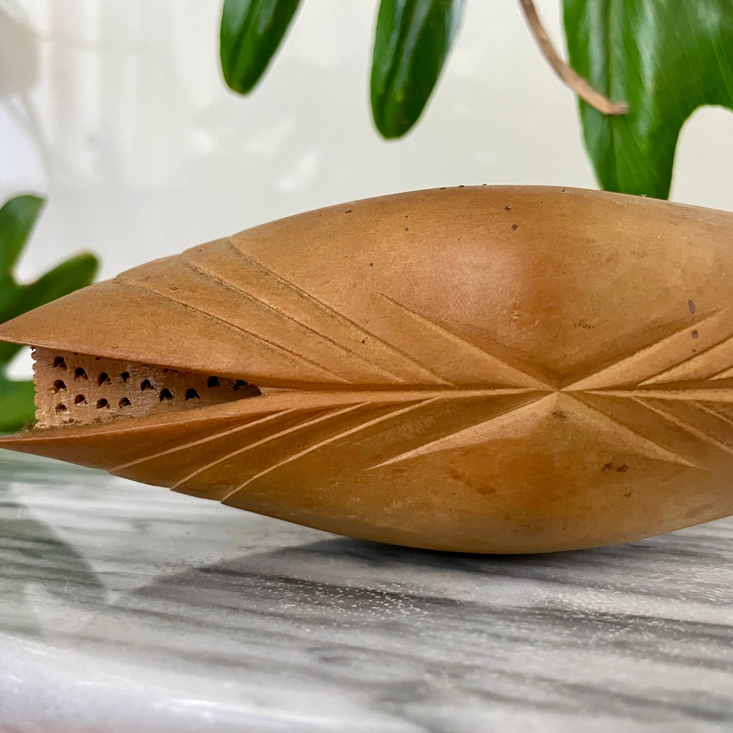 African folk art - Unusual carved wooden clam shell from Africa