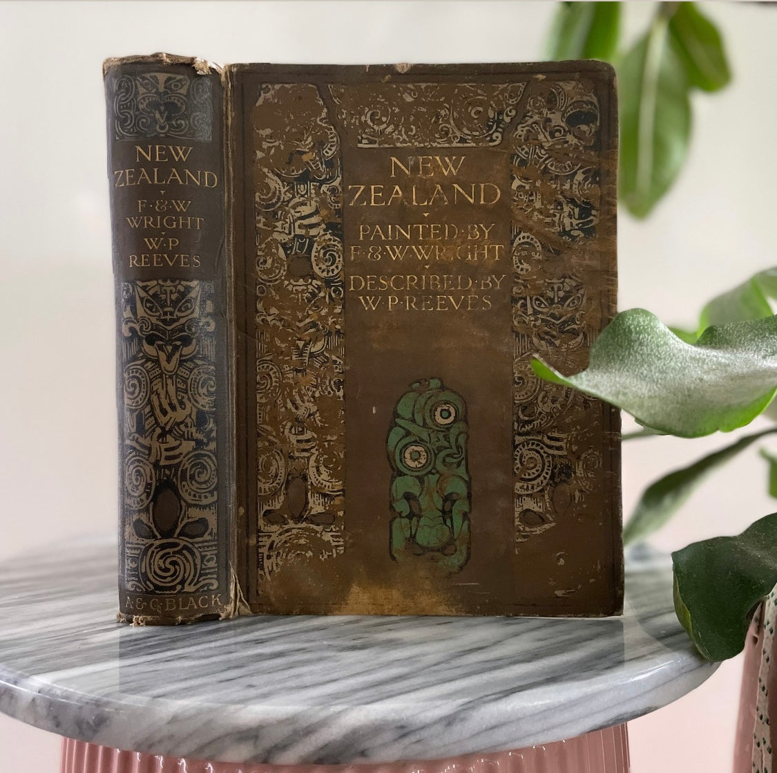 1908 first edition New Zealand book; Painted by F. and W. Wright Described by William Pember Reeves - antique book