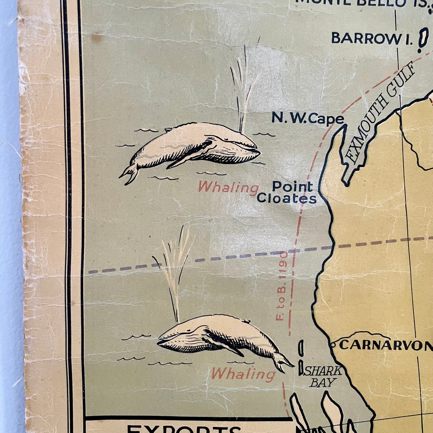 1952 vintage pull down map of Australia - large Australian educational canvas chart