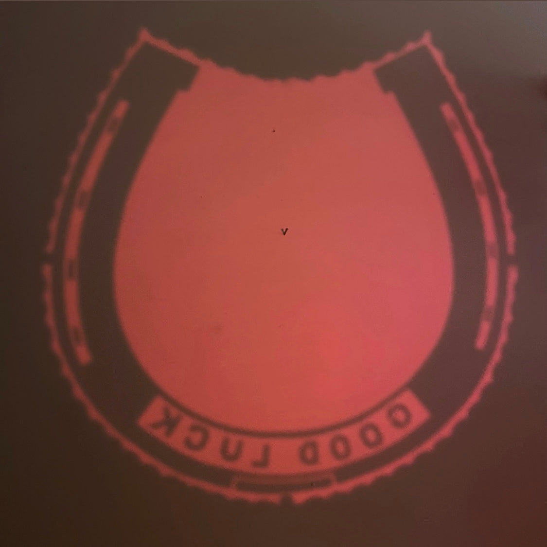 Good Luck, Babe - Horseshoe shaped vintage good luck mirror