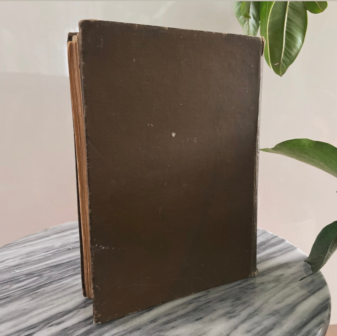 1908 first edition New Zealand book; Painted by F. and W. Wright Described by William Pember Reeves - antique book
