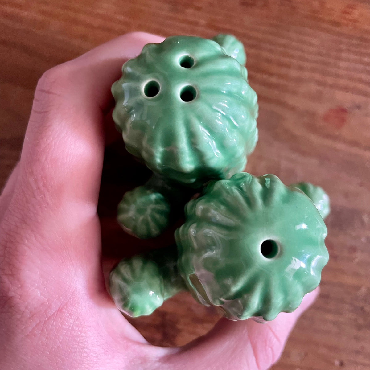Kitschy Cactus - retro pair of ceramic saguaro cactus salt and pepper shakers