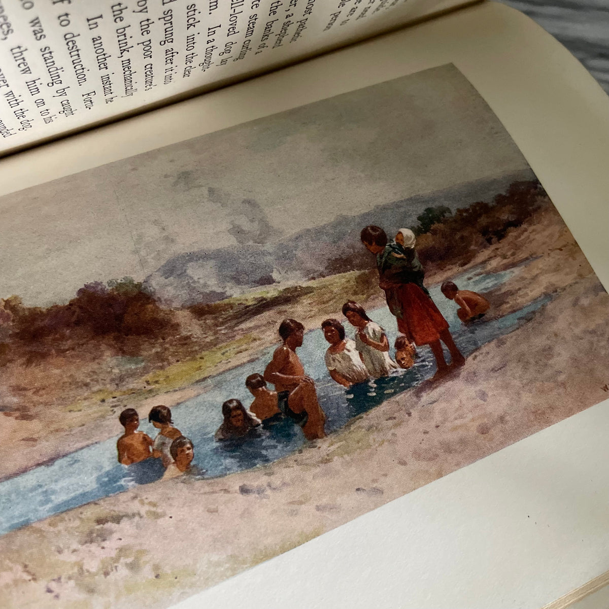 1908 first edition New Zealand book; Painted by F. and W. Wright Described by William Pember Reeves - antique book