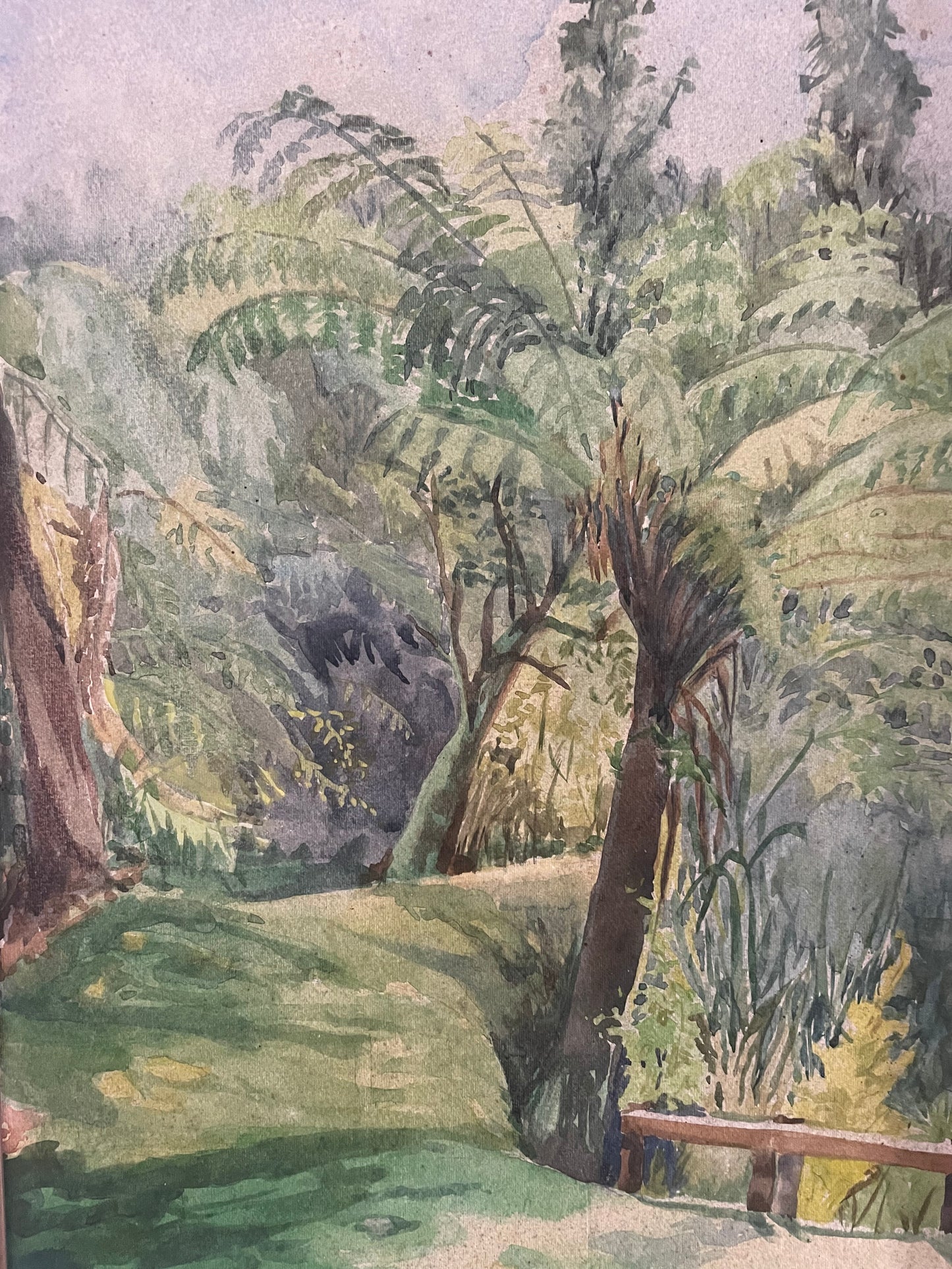 Signed watercolor painting of New Zealand Punga trees Otawa Bush