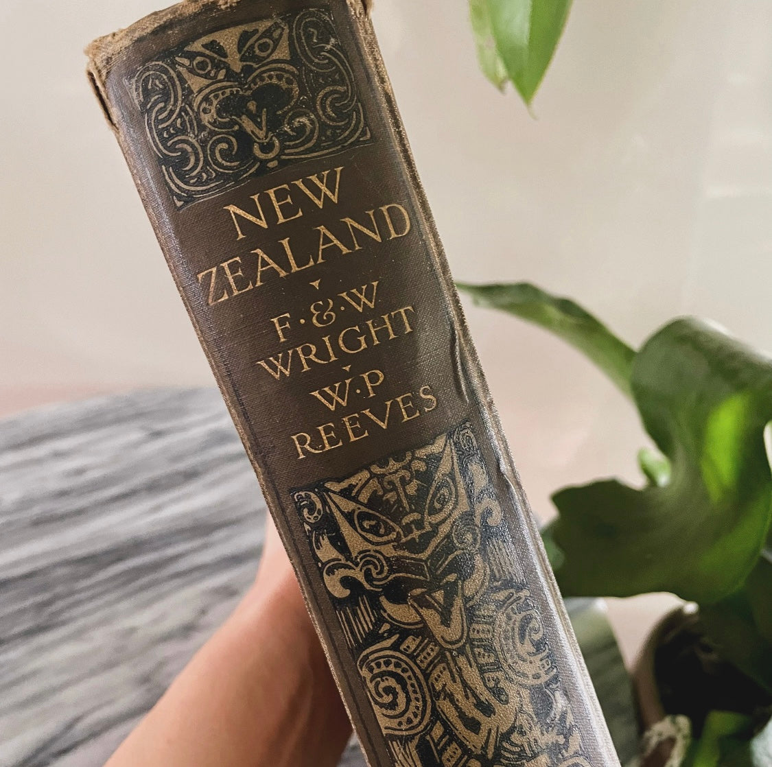 1908 first edition New Zealand book; Painted by F. and W. Wright Described by William Pember Reeves - antique book
