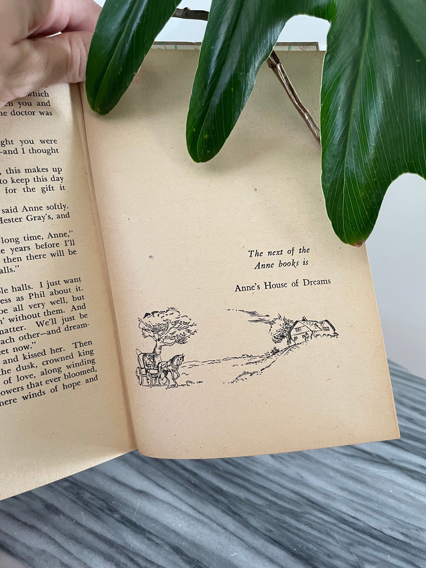 1949 vintage Anne of the Island book from New Zealand / London