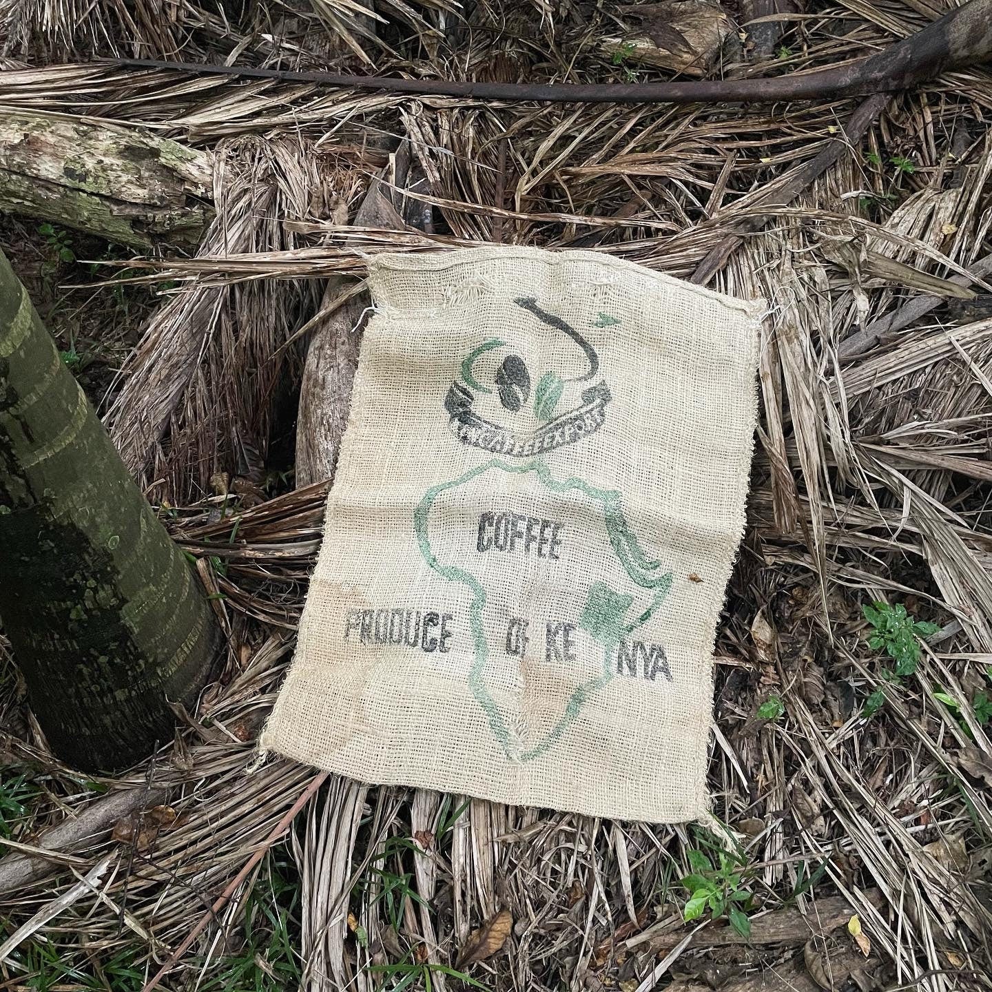 Kenya Africa / Auckland New Zealand burlap coffee bean sack