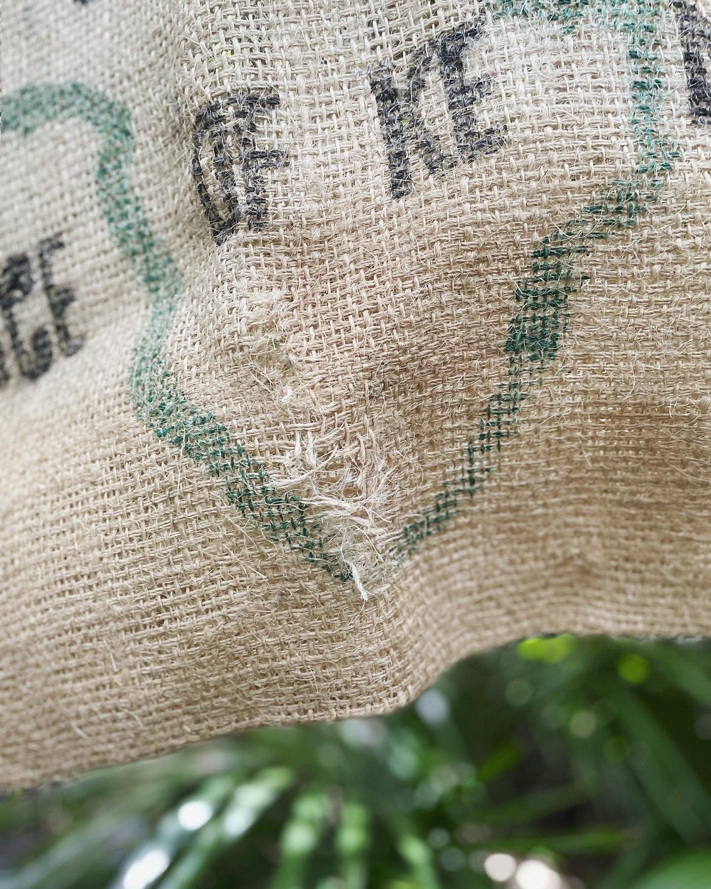 Kenya Africa / Auckland New Zealand burlap coffee bean sack