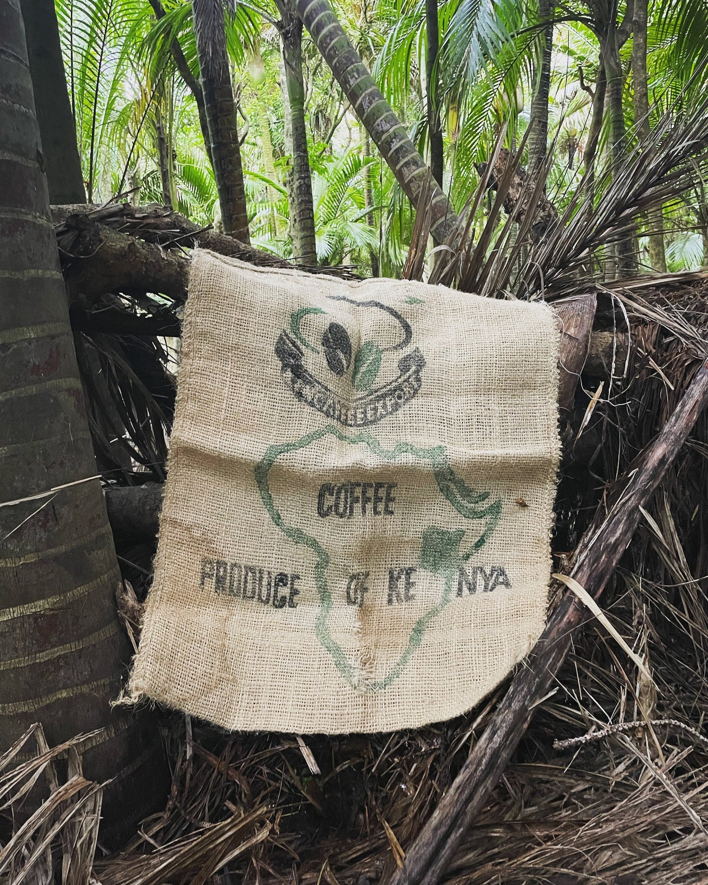 Kenya Africa / Auckland New Zealand burlap coffee bean sack