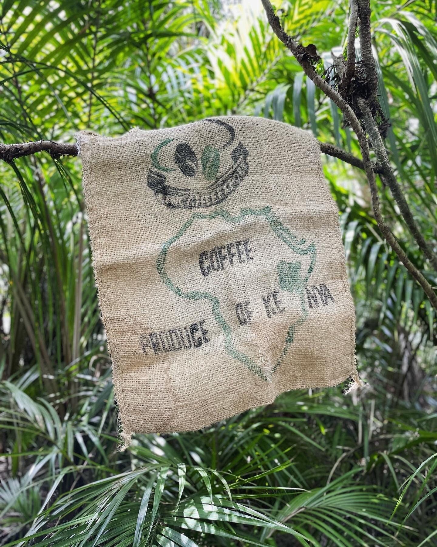 Kenya Africa / Auckland New Zealand burlap coffee bean sack