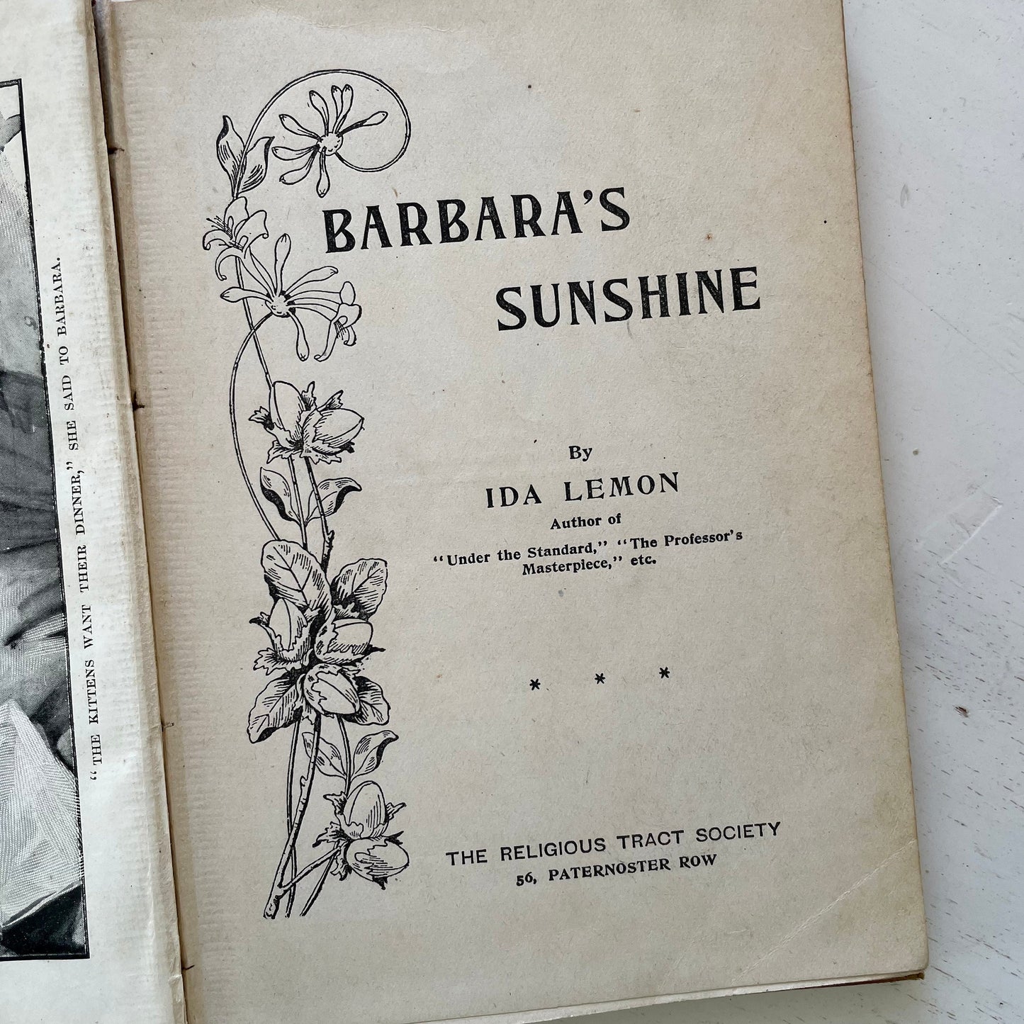 Black Cat book - Barbaras Sunshine Antique 1900s illustrated story book