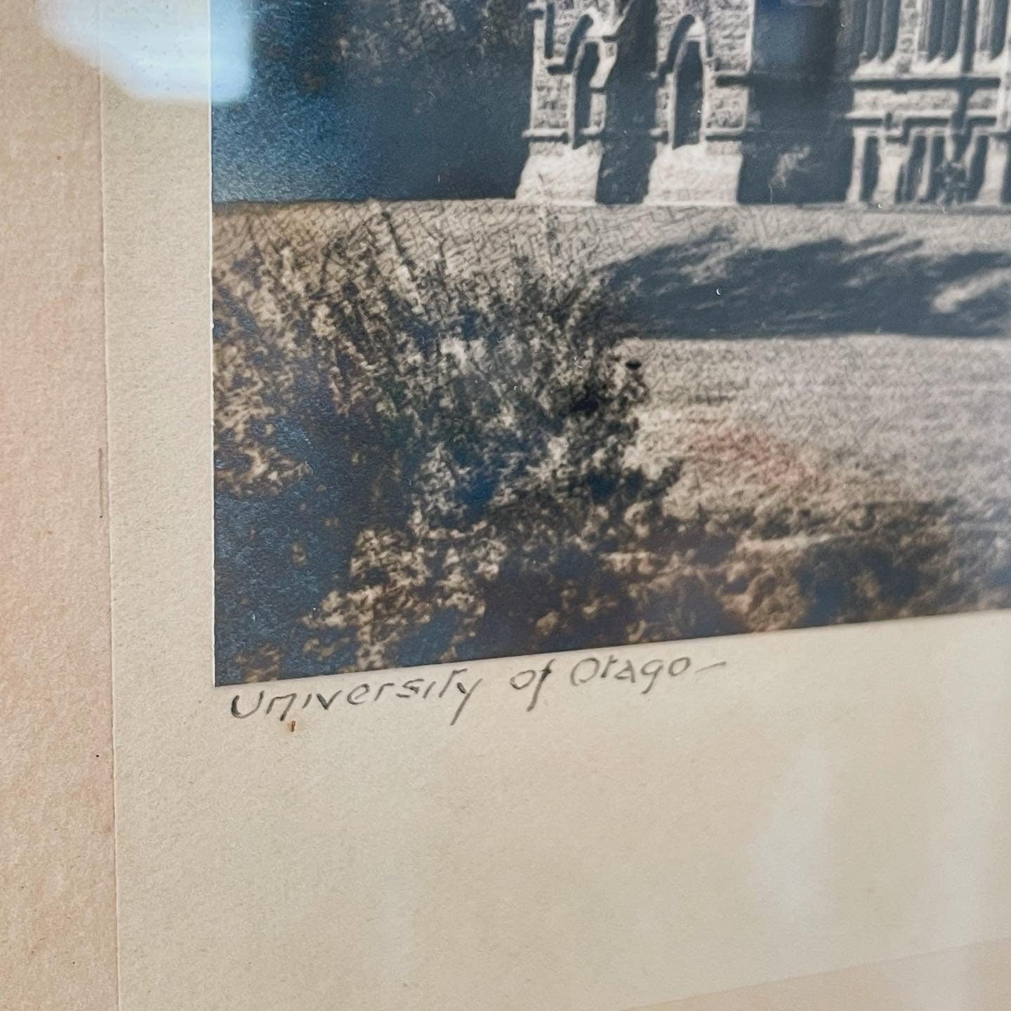 University of Otago photograph print by Chance George - vintage New Zealand photography