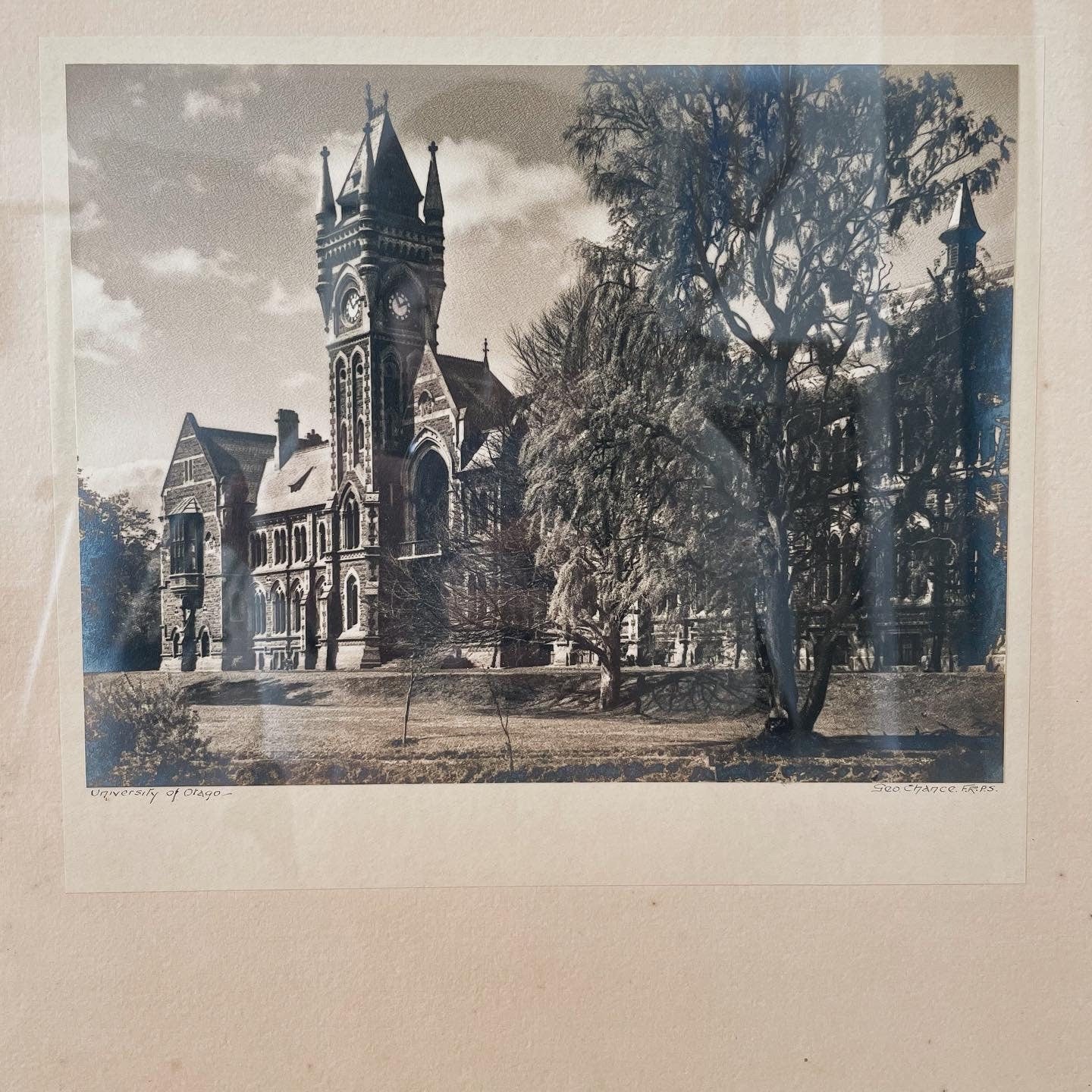 University of Otago photograph print by Chance George - vintage New Zealand photography